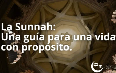 La Sunnah: Una Guía para los Creyentes